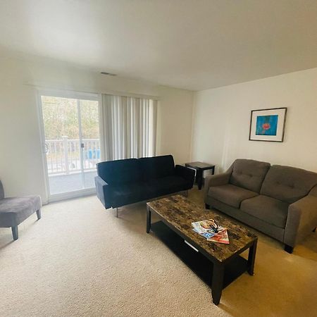 Large, Clean, Comfortable, 1Br Near Einstein Hos Elkins Park Εξωτερικό φωτογραφία